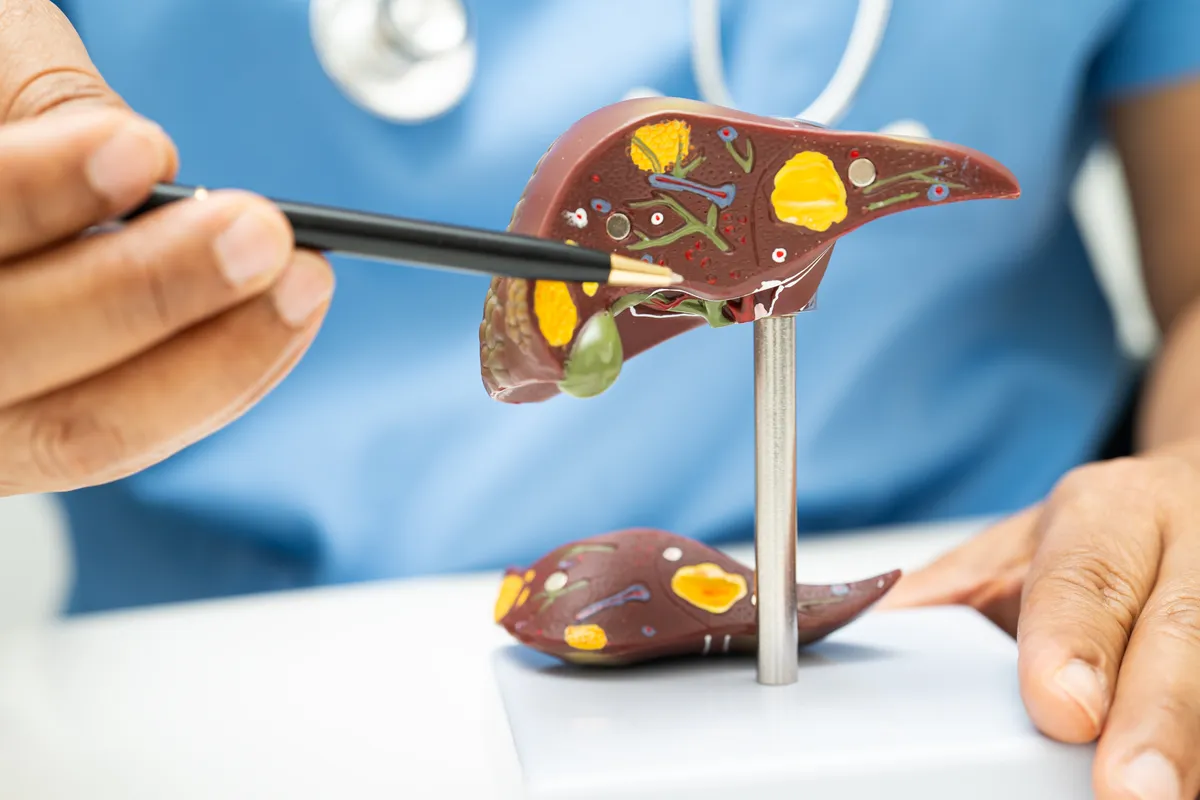 Transarterial tumor embolization (TACE/TARE) at Anadolu Medical Center